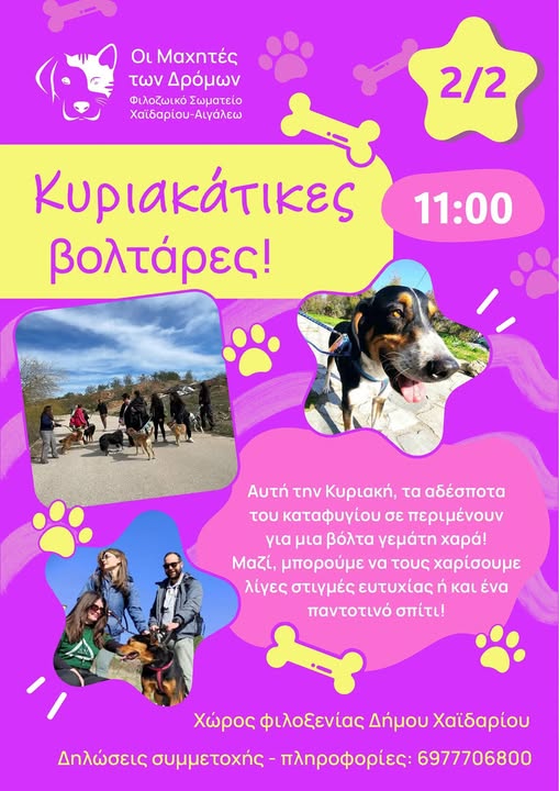 Walk 02-02-2025