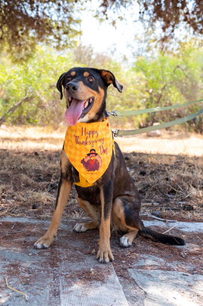 Hera
